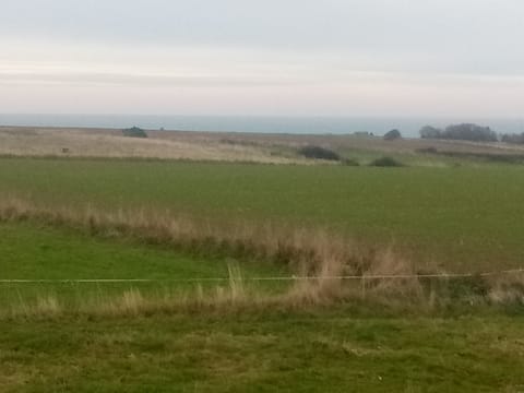 Quadruple Room (Crin d'or) | View from room