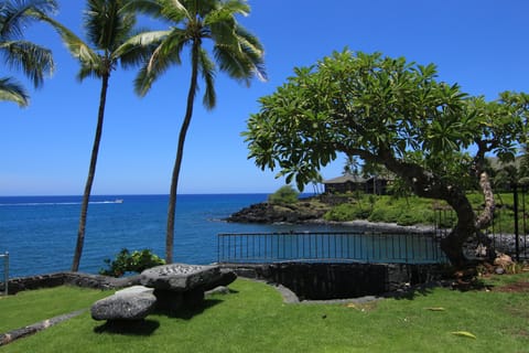 Welcome to our Kinohi@Heeia