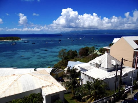 Beach/ocean view