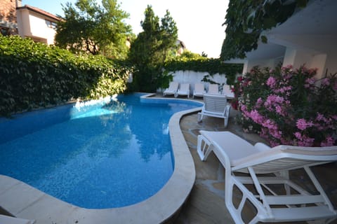 Seasonal outdoor pool, sun loungers