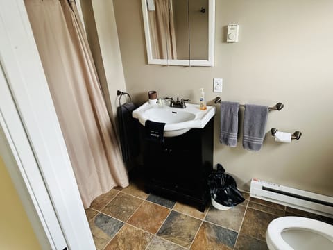 Studio Suite | Bathroom | Hair dryer, towels