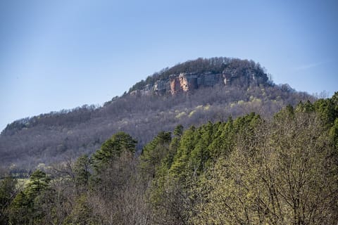 View to Red Rock Point