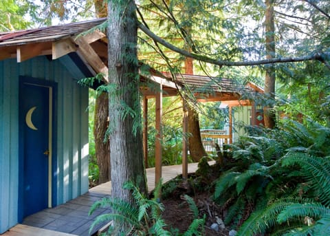 Our no-flush toilet on a boardwalk. Cedar planks below and cedar shingles above.