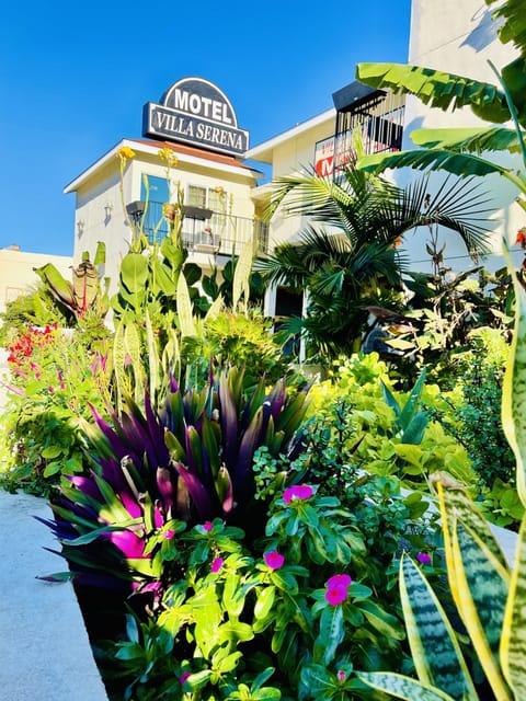 Villa Serena | Casa De Oro-Mount, CA | VacationRenter