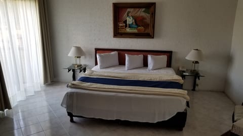 Standard Double Room, 1 King Bed, Garden View | In-room safe, desk, laptop workspace, blackout drapes