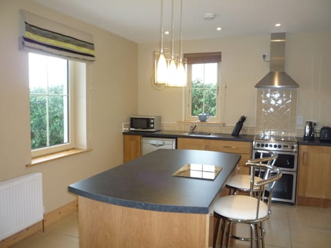 Modern Kitchen Area