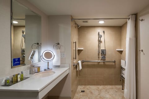 Room, 1 King Bed, Accessible (Roll-In Shower, Mobility) | Bathroom | Eco-friendly toiletries, hair dryer, towels, soap