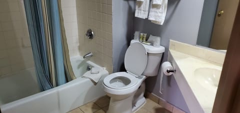 Standard Room, 1 King Bed, Multiple View (King Bed Non Smoking) | Bathroom | Deep soaking tub, free toiletries, towels