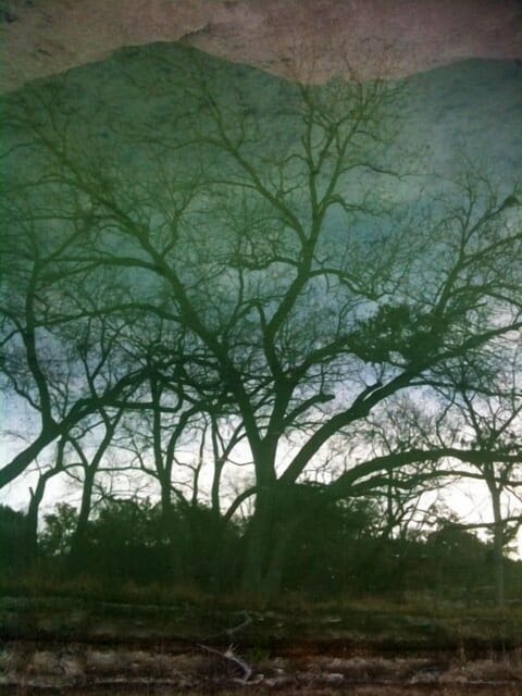 Fall Tree Reflectkion on Mason Creek