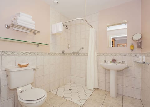 Combined shower/tub, free toiletries, hair dryer, towels