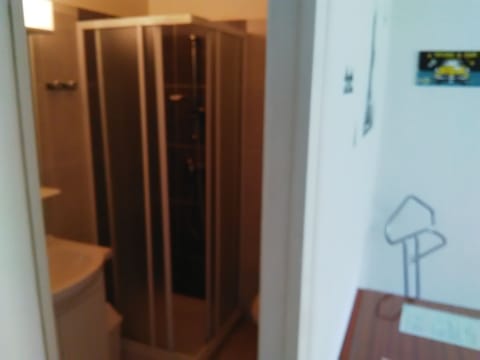 Double Room | Bathroom shower