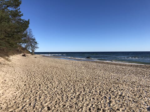 Beach nearby, white sand, beach shuttle, sun loungers