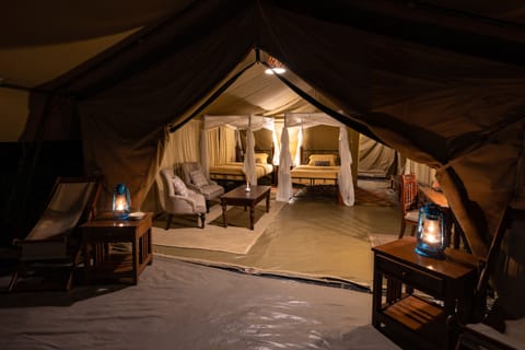 Luxury Tent Twin | Free WiFi, bed sheets