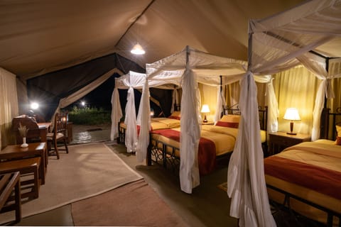 Luxury Tent Triple | Free WiFi, bed sheets