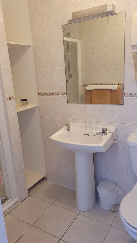 Double or Twin Room | Bathroom | Shower, free toiletries, hair dryer, towels