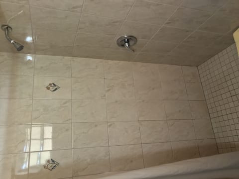 Room, 1 King Bed, Ocean View | Bathroom | Shower, rainfall showerhead, free toiletries, towels