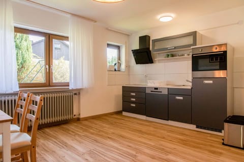 Apartment | Private kitchen | Full-size fridge, microwave, oven, stovetop