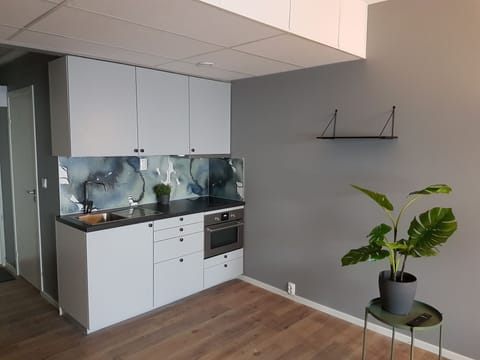 Apartment (1 Bed) | Private kitchen | Fridge, microwave, oven, stovetop