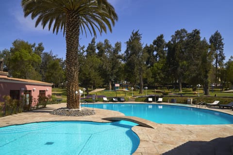 Outdoor pool, pool umbrellas, sun loungers