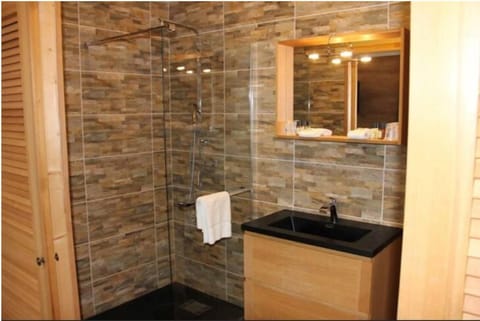 Deluxe Double Room | Bathroom | Hair dryer, towels, soap, shampoo