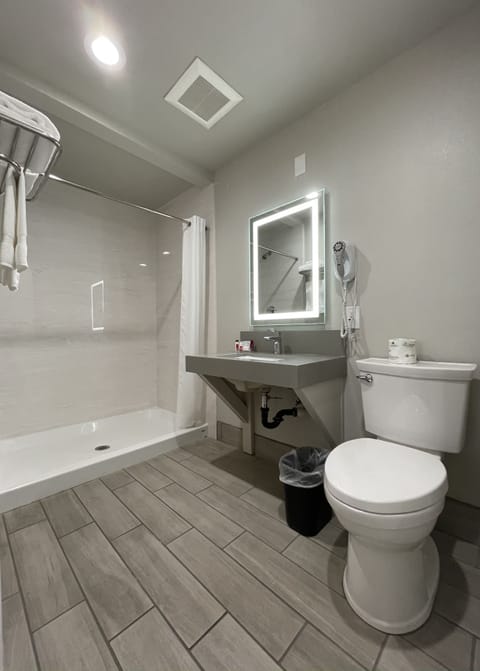 Premium Room, 1 King Bed | Bathroom | Combined shower/tub, hair dryer, towels