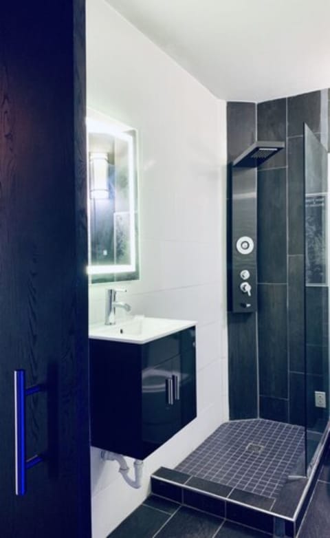 Premium Apartment, 1 Queen Bed, Non Smoking | Bathroom | Shower, rainfall showerhead, free toiletries, hair dryer