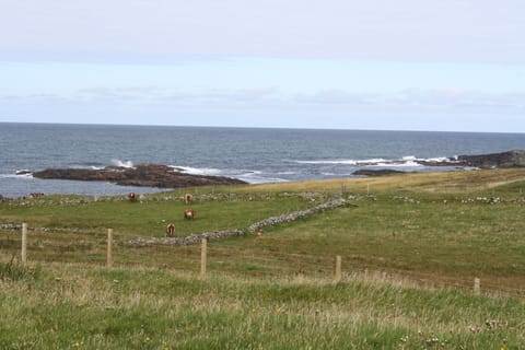 The cottage is in a crofting area used to graze cattle and sheep