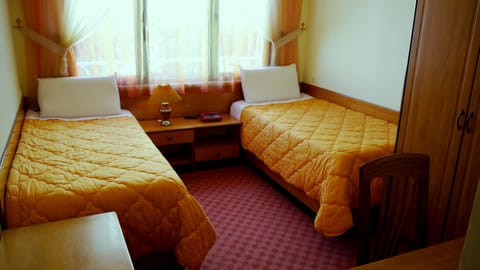 Twin Room | Minibar, in-room safe, individually furnished, desk