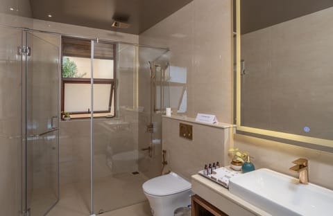 Premium Pool View Villa | Bathroom | Shower, rainfall showerhead, free toiletries, hair dryer