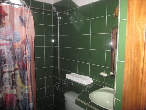 Deluxe Room, Multiple Beds, Non Smoking, City View | Bathroom | Shower, rainfall showerhead, free toiletries, hair dryer