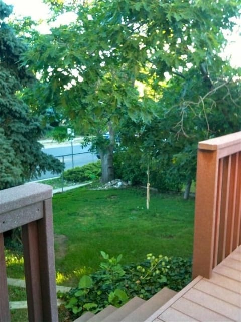 Back Yard off of deck; fenced in for doggies (420 friendly in back deck)
