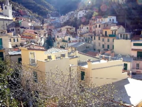 Overview