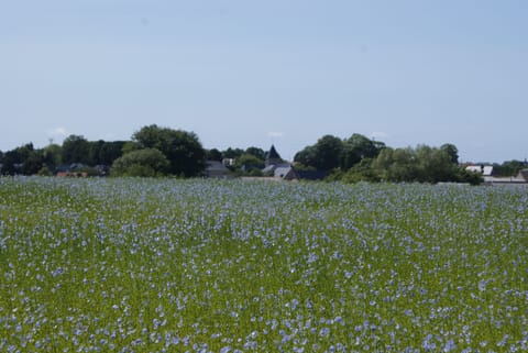 Land view from property