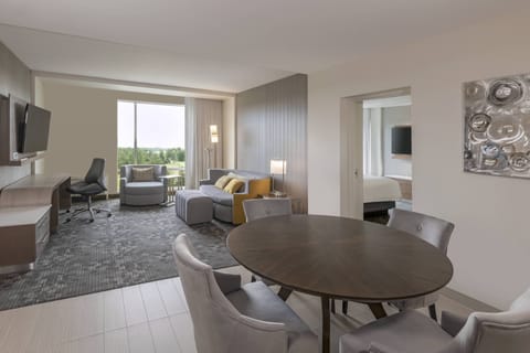 Suite, 1 Bedroom, City View | Living area | 55-inch LCD TV with cable channels, TV, Netflix