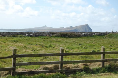 Backyard View of Three Sisters