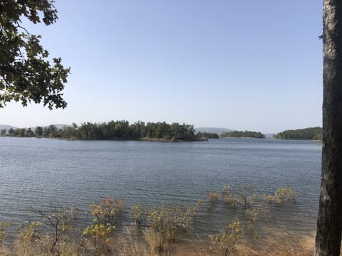 Minutes from the home