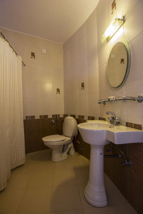 Deluxe Double Room | Bathroom | Shower, free toiletries, towels