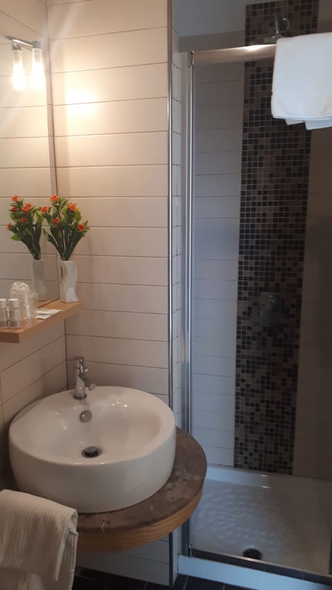 Standard Double Room | Bathroom | Shower, hair dryer, bidet, towels