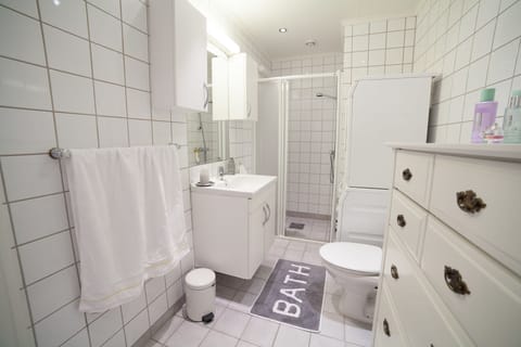 Apartment, Non Smoking | Bathroom | Shower, hydromassage showerhead, hair dryer, towels