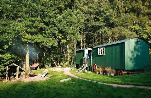 Anne's Hut is set in a green and totally secluded meadow and on the edge of a natural wood