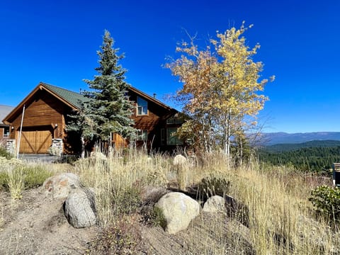 View of house from street