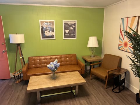 Double Room, Ensuite (King Efficiency  ) | Lounge