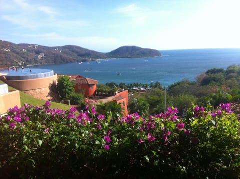our flowers with a view of las Gatos beach