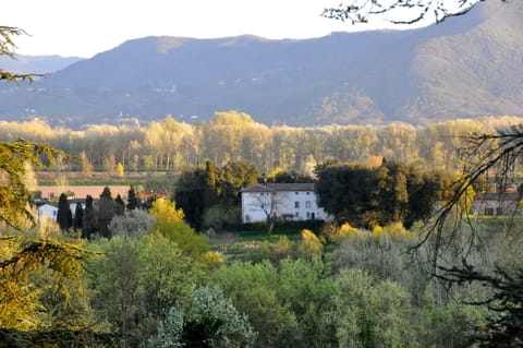 View from the Balcony (looking South)