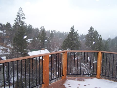 Snowing on the back deck