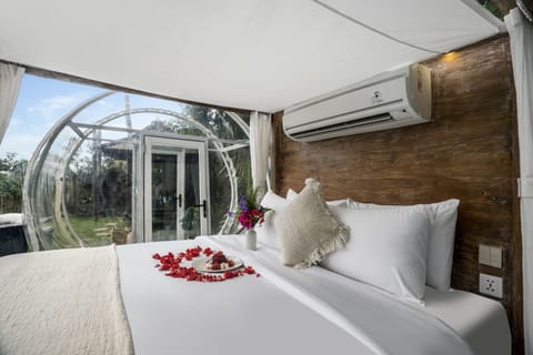 Romantic Tent | View from room