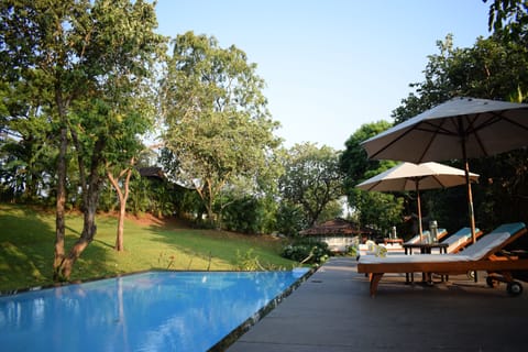 Outdoor pool, sun loungers