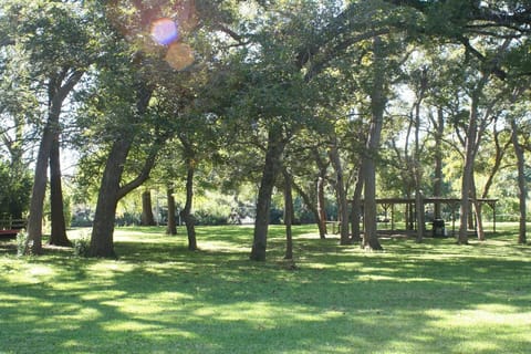 View from deck of house down to the river.