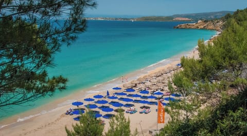 Beach nearby, beach towels, beach bar