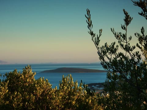 Garden view towards blue lagoon